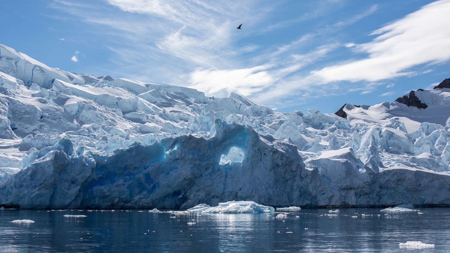 Leadership Lessons from Antarctica